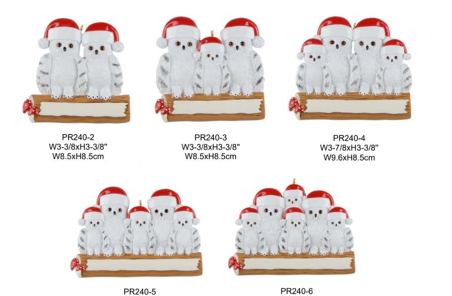 Owl Hat Family