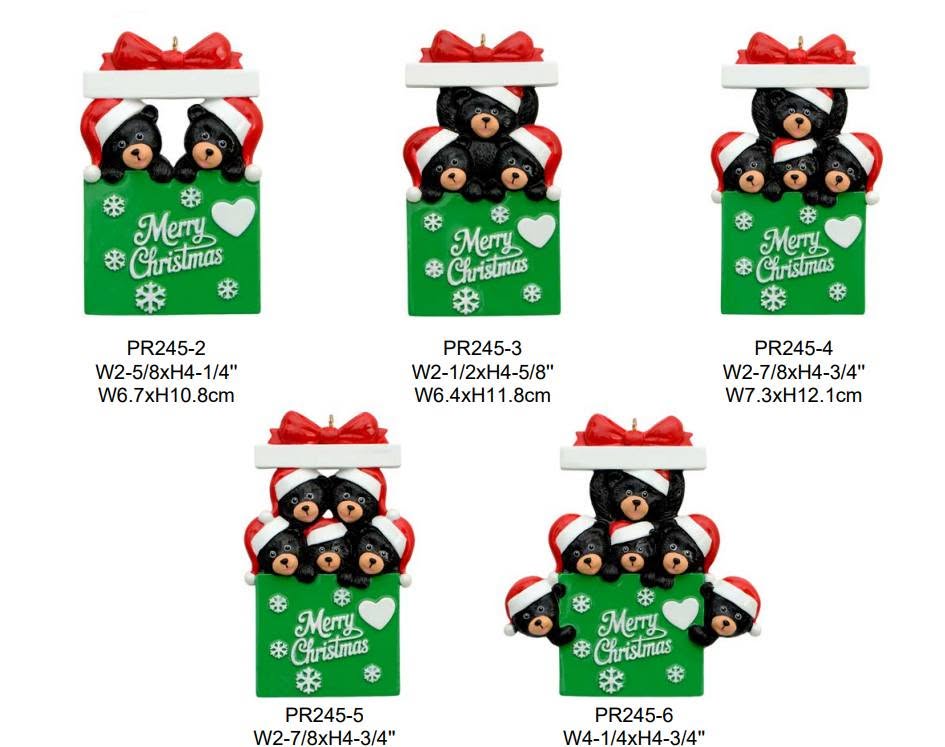 Bear Box Family