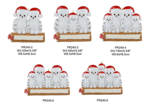 Owl Hat Family