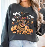 Highland halloween