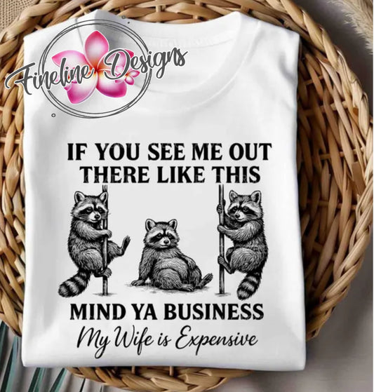 Expensive Wife